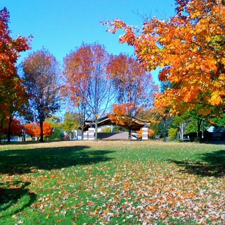 Ampitheater at Eastview